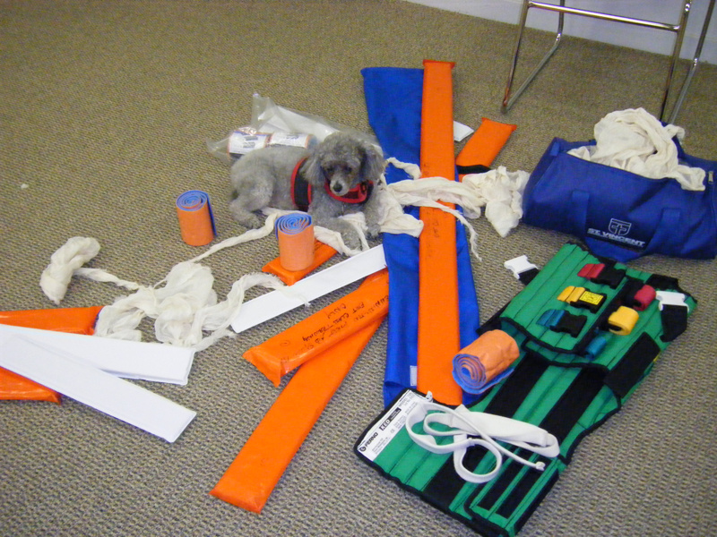 2008_fall_emt_class/images_large/2008_05030018.jpg
