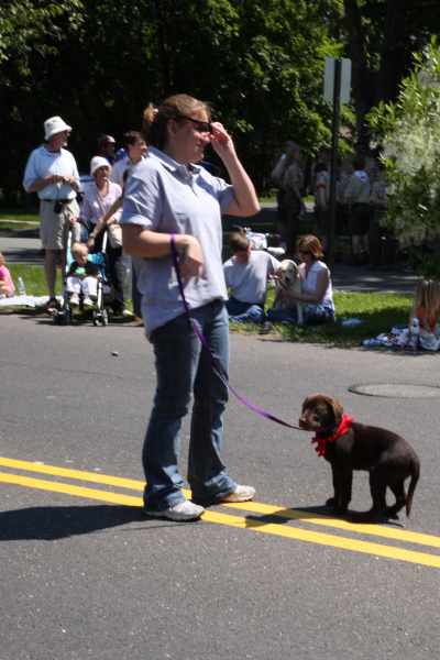 2008_memorial_day/images_large/2008-5-26_14_Heather_Orlandi_puppy.jpg